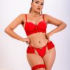 Lingerie conjunto de renda e moda intimav