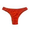 Calcinha e moda intima