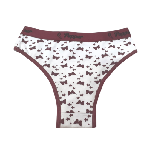 Calcinha e moda intima