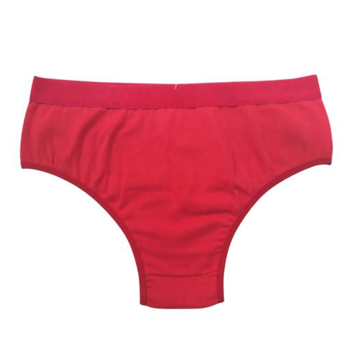 Calcinha e moda intima